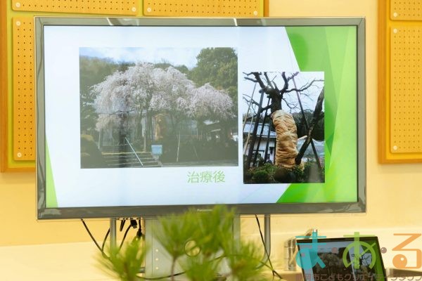 2025年10月18日_木の声でプログラミング！