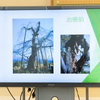 2025年10月18日_木の声でプログラミング！