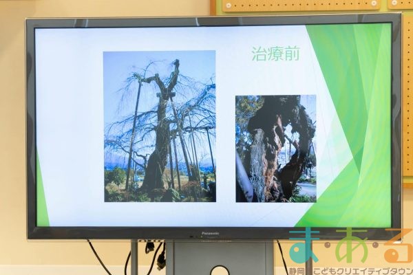 2025年10月18日_木の声でプログラミング！
