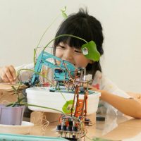 2025年10月18日_木の声でプログラミング！