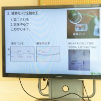 2025年10月18日_木の声でプログラミング！