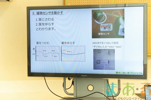 2025年10月18日_木の声でプログラミング！