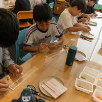 2025年10月17日_静岡市立清水浜田小学校_