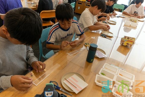 2025年10月17日_静岡市立清水浜田小学校_