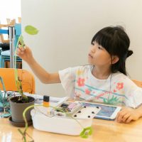 2025年10月18日_木の声でプログラミング！