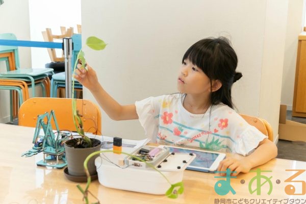 2025年10月18日_木の声でプログラミング！