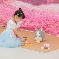2025年10月17日_なりきりプリンセス