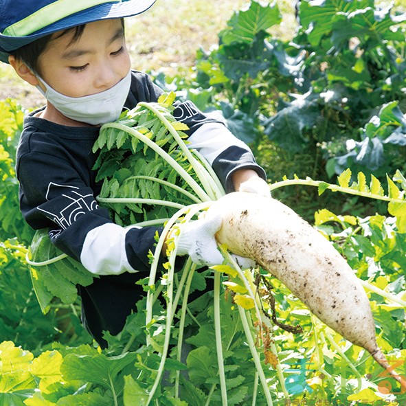 2025年12月20日_冬の里山収穫体験