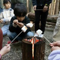 2025年11月3日_森林体験ツアーに行こう！