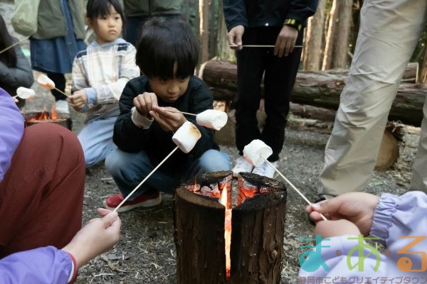2025年11月3日_森林体験ツアーに行こう！