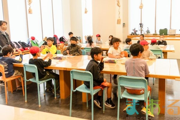 2025年10月24日_静岡市立清水駒越小学校_