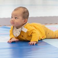 2025年11月11日_元気いっぱい!ニコニコはいはいレース