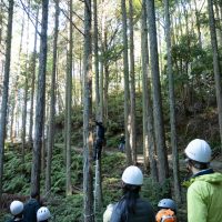 2025年11月3日_森林体験ツアーに行こう！