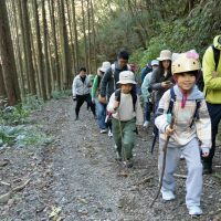 2025年11月3日_森林体験ツアーに行こう！