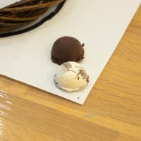 2025年11月27日_静岡市立清水船越小学校_MAR_2388_compressed