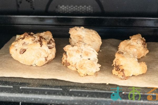 2025年11月6日_静岡県立視覚特別支援学校_