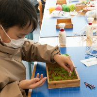 2025年11月24日_森の箱庭づくり_