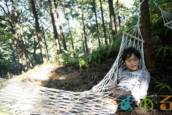 2025年11月3日_森林体験ツアーに行こう！