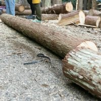 2025年11月3日_森林体験ツアーに行こう！