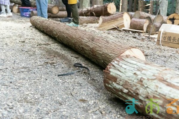 2025年11月3日_森林体験ツアーに行こう！