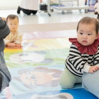 2025年11月11日_元気いっぱい!ニコニコはいはいレース