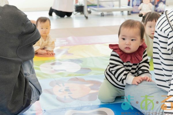 2025年11月11日_元気いっぱい!ニコニコはいはいレース