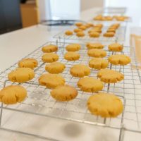 2025年11月16日_米粉のかぼちゃクッキーを作ろう!_