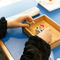 2025年11月24日_森の箱庭づくり_