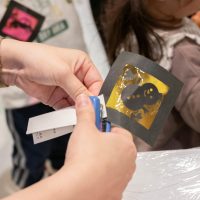 2025年11月14日_ぞうけいあそび（まっくらピカピカ）