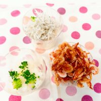 2025年11月4日_富士市立富士川第一小学校_