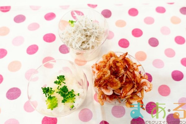 2025年11月4日_富士市立富士川第一小学校_