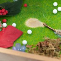 2025年11月24日_森の箱庭づくり_