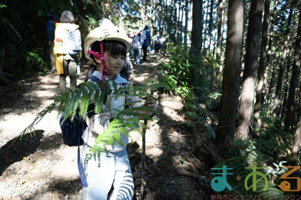 2025年11月3日_森林体験ツアーに行こう！
