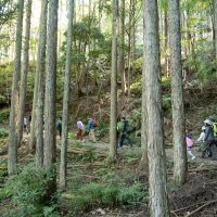 2025年11月3日_森林体験ツアーに行こう！