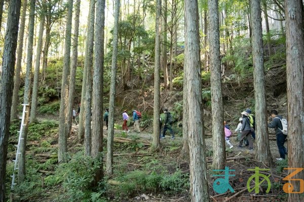2025年11月3日_森林体験ツアーに行こう！