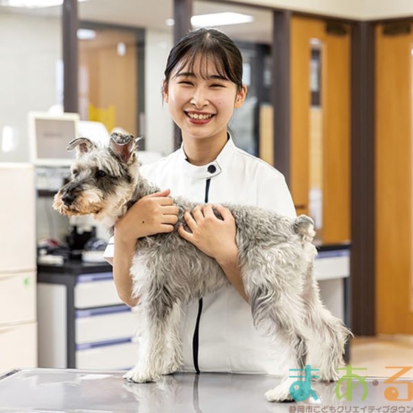 2026年1月12日_動物看護師のおしごと