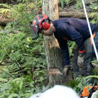 2025年11月3日_森林体験ツアーに行こう！