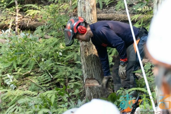 2025年11月3日_森林体験ツアーに行こう！