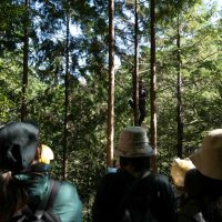 2025年11月3日_森林体験ツアーに行こう！