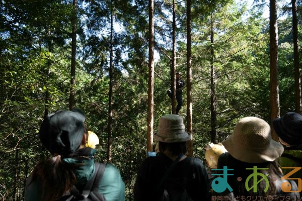 2025年11月3日_森林体験ツアーに行こう！