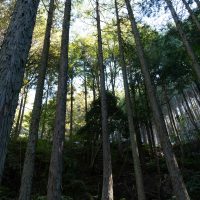 2025年11月3日_森林体験ツアーに行こう！