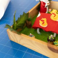 2025年11月24日_森の箱庭づくり_