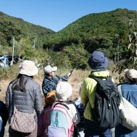 2025年11月3日_森林体験ツアーに行こう！