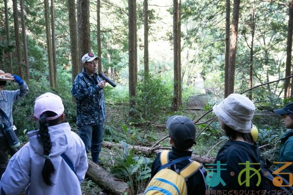 2025年11月3日_森林体験ツアーに行こう！