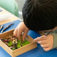 2025年11月24日_森の箱庭づくり_