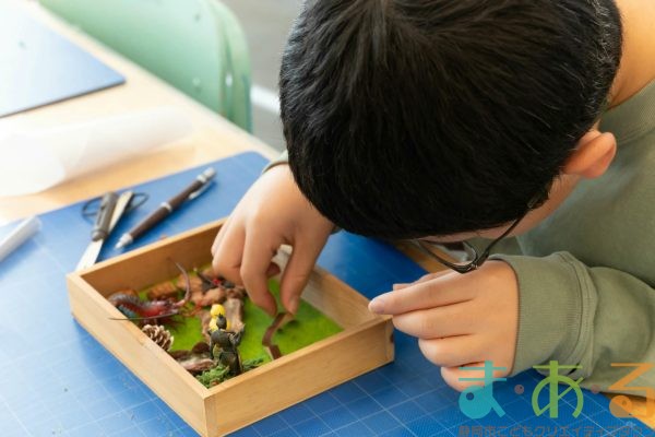 2025年11月24日_森の箱庭づくり_