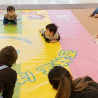 2025年11月11日_元気いっぱい!ニコニコはいはいレース