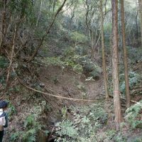 2025年11月3日_森林体験ツアーに行こう！