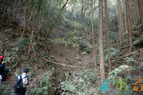 2025年11月3日_森林体験ツアーに行こう！