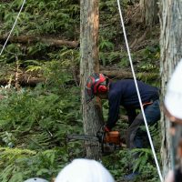2025年11月3日_森林体験ツアーに行こう！